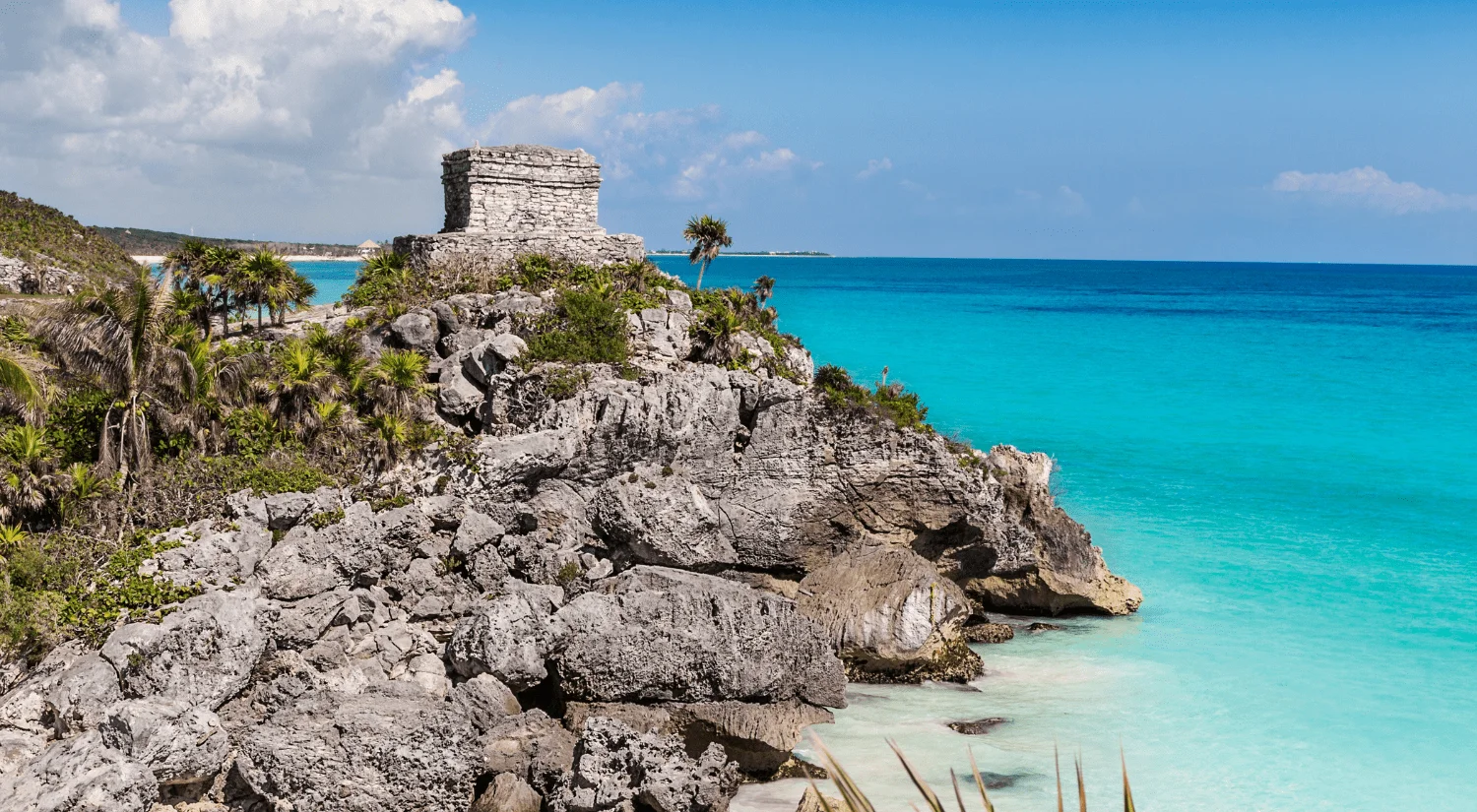 Tulum Digital Nomad Guide Freaking Nomads