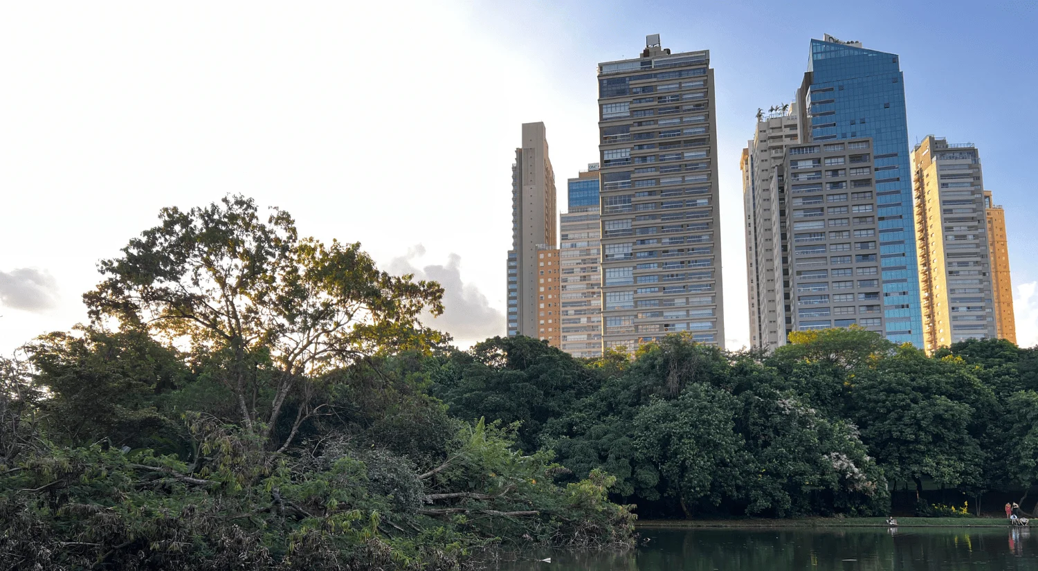 Goiania Digital Nomad Guide Freaking Nomads