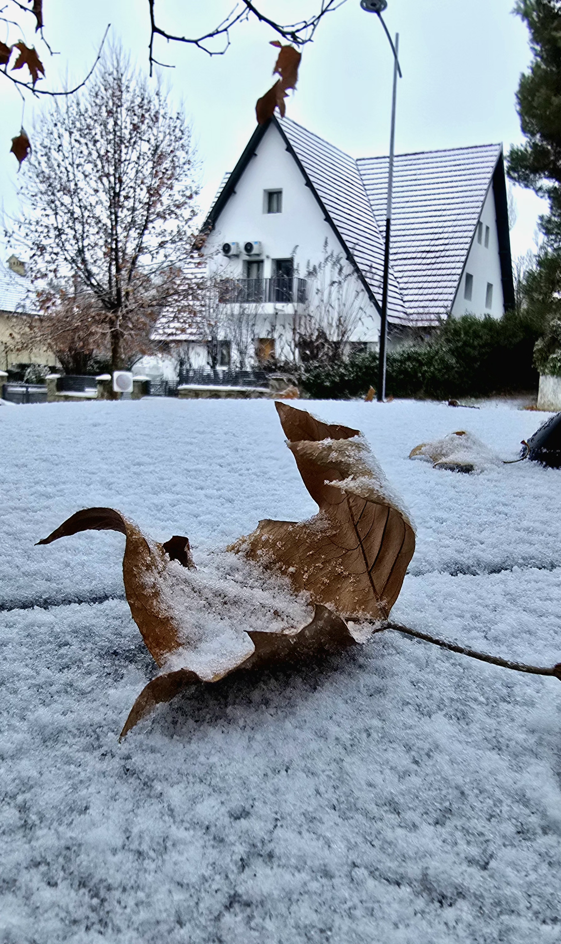 Photo of Ifrane