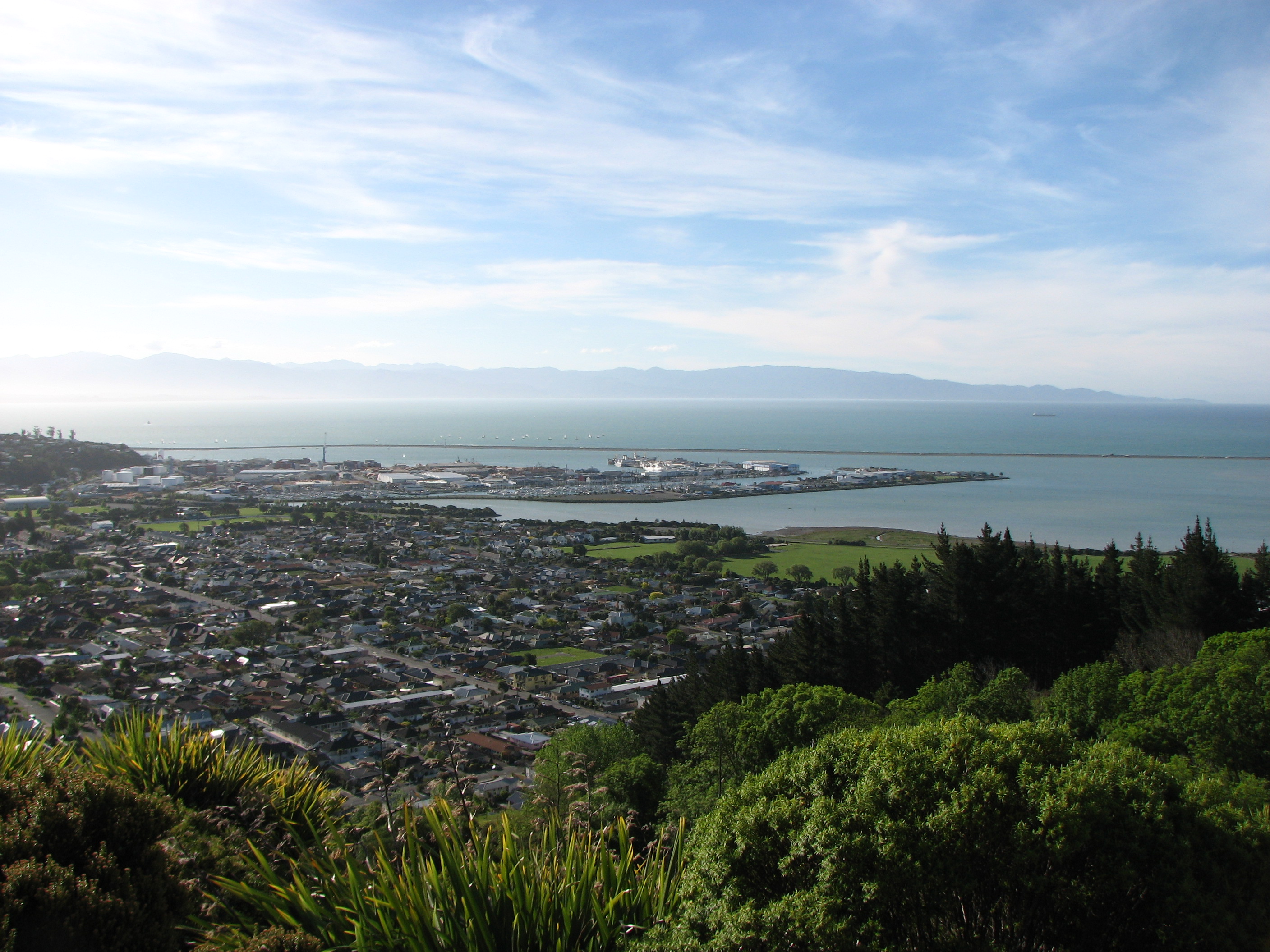 Photo of Nelson