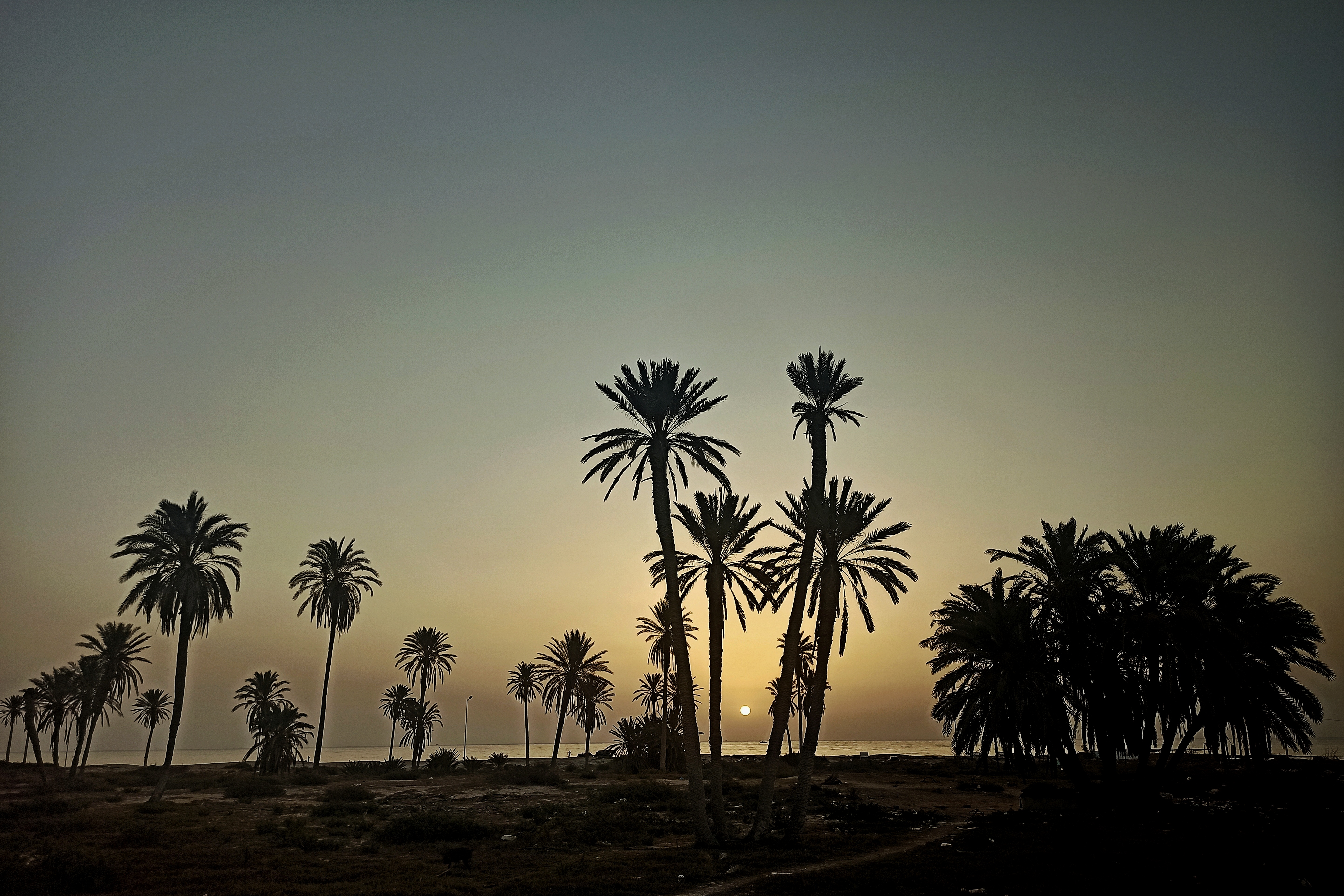 Photo of Zarzis