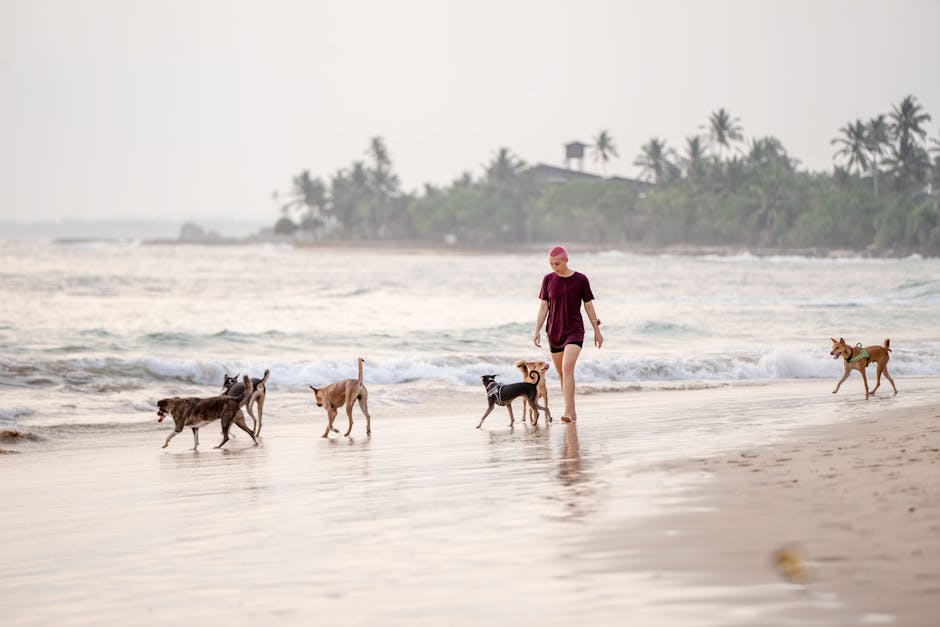 Photo of Ahangama, Sri Lanka