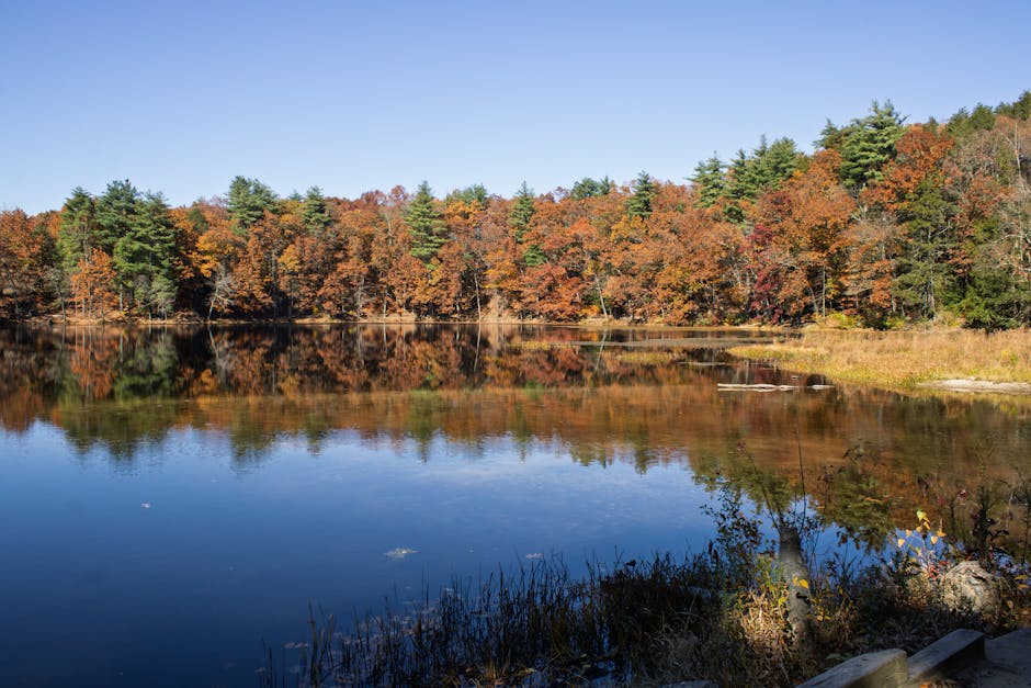 Photo of Amherst, United States