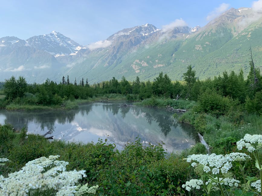 Photo of Anchorage, United States
