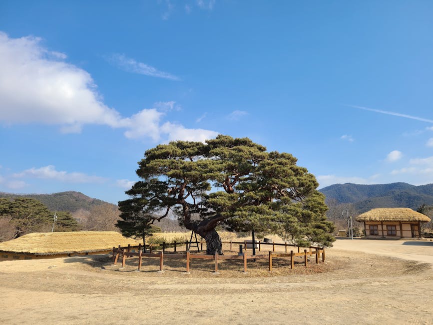 Photo of Andong, Korea, Republic of