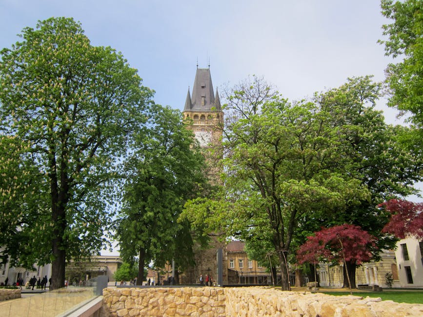 Photo of Baia Mare, Romania