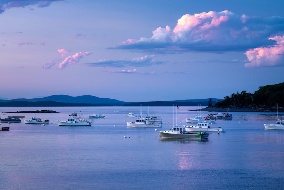 Photo of Bar Harbor, United States