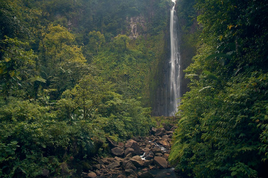 Photo of Basse-terre, Guadeloupe