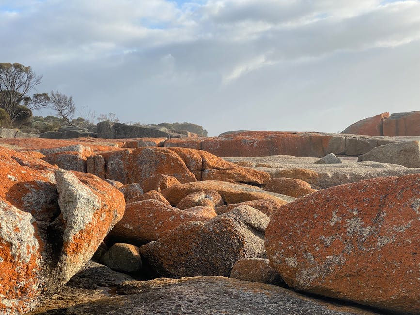 Photo of Bicheno, Australia