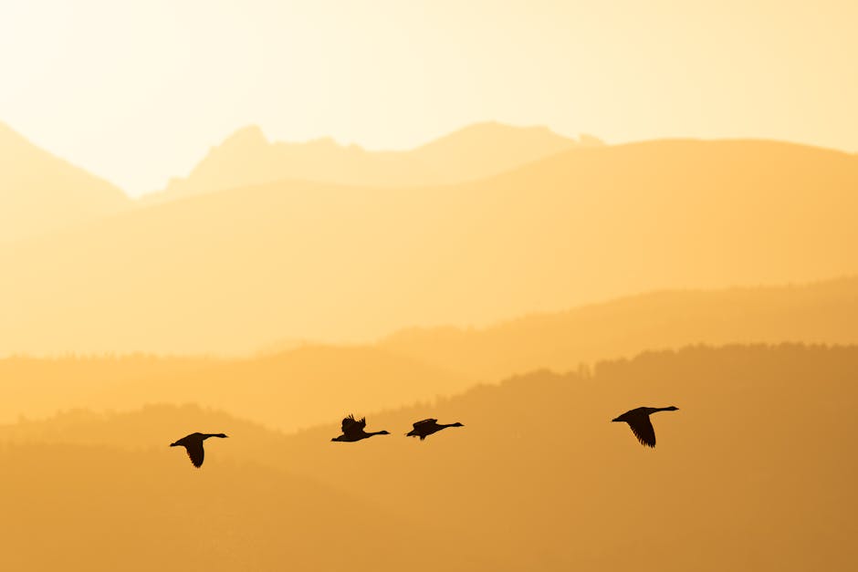 Photo of Boulder, United States