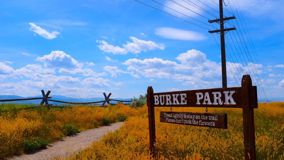 Photo of Bozeman, United States
