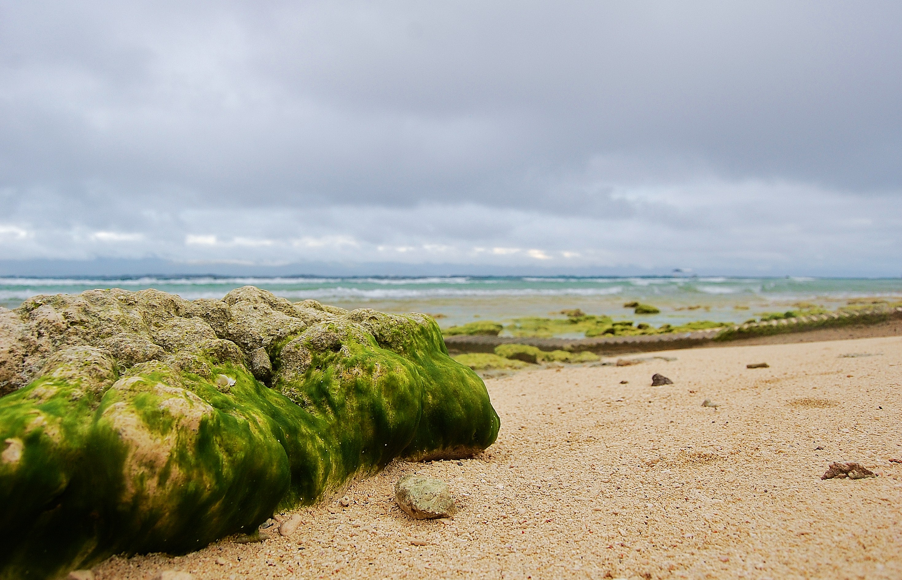 Photo of Cebu - Moalboal, Philippines