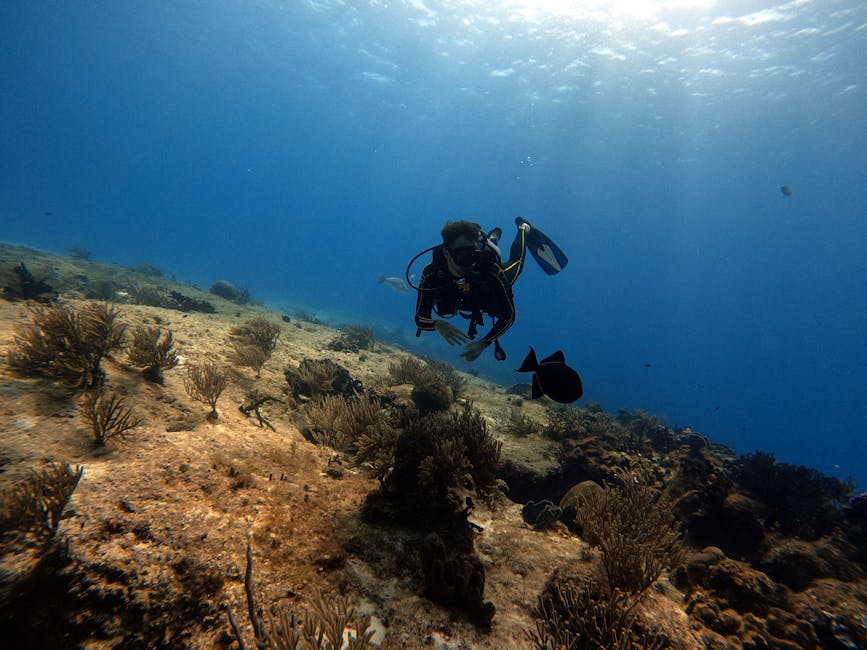 Photo of Cozumel, Mexico