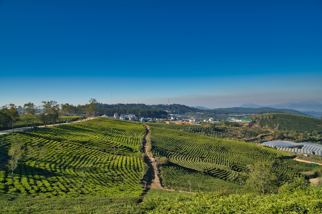 Photo of Dalat, Viet Nam