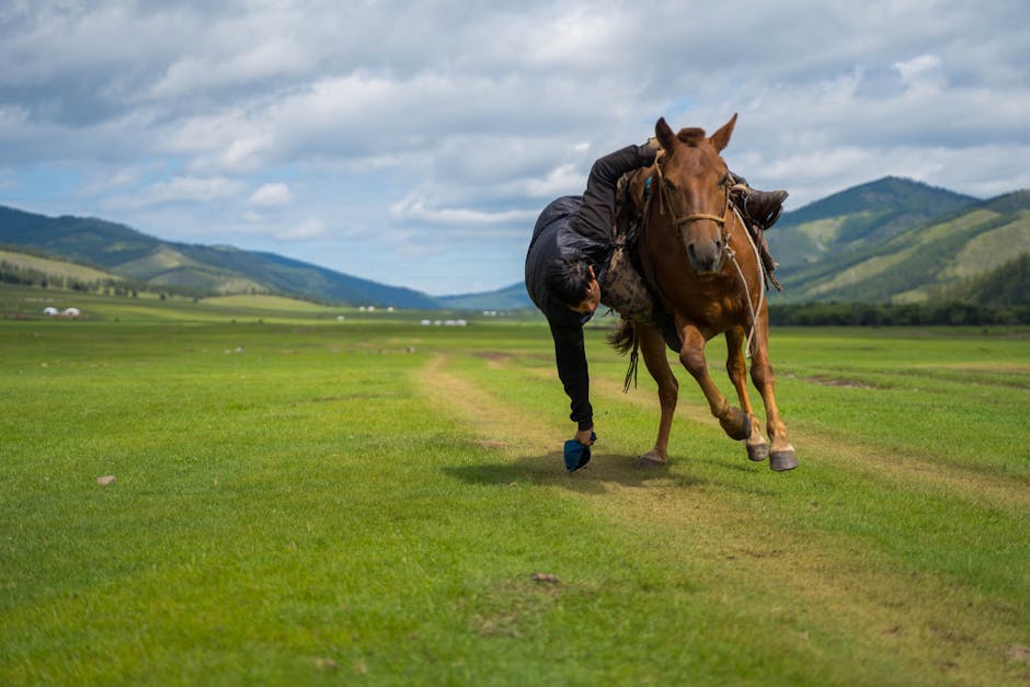 Photo of Darkhan, Mongolia
