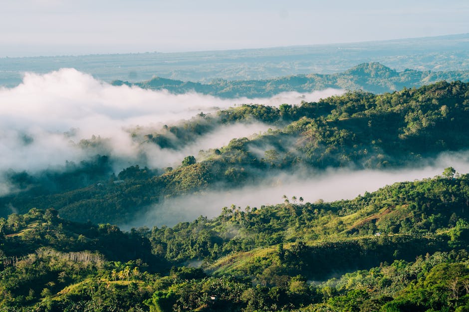Photo of Davao City, Philippines