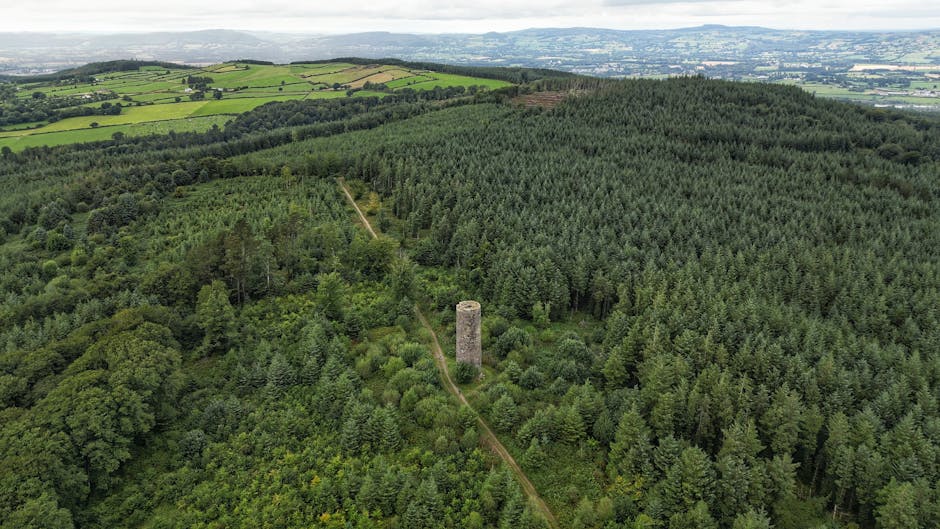 Photo of Dundalk, Ireland