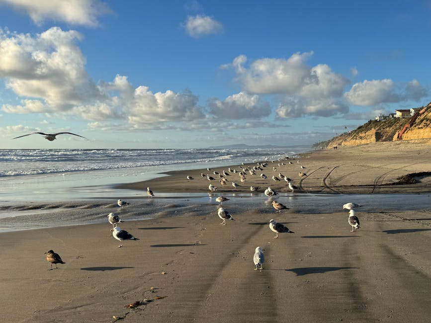 Photo of Encinitas, United States