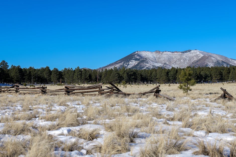 Photo of Flagstaff, United States