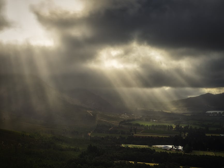 Photo of George, South Africa