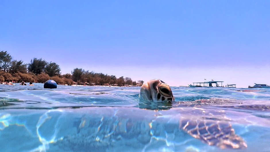 Photo of Gili Islands, Indonesia