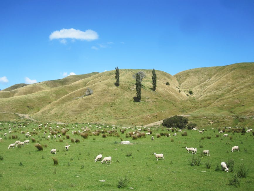 Photo of Gisborne (wainui), New Zealand