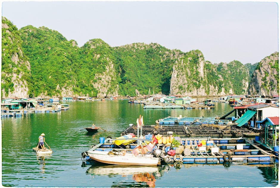 Photo of Hai Phong, Viet Nam