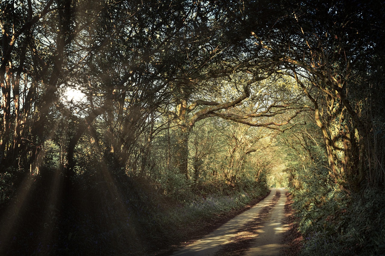 Photo of Harlow, United Kingdom