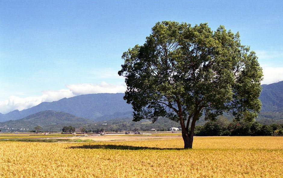 Photo of Hualien, Taiwan