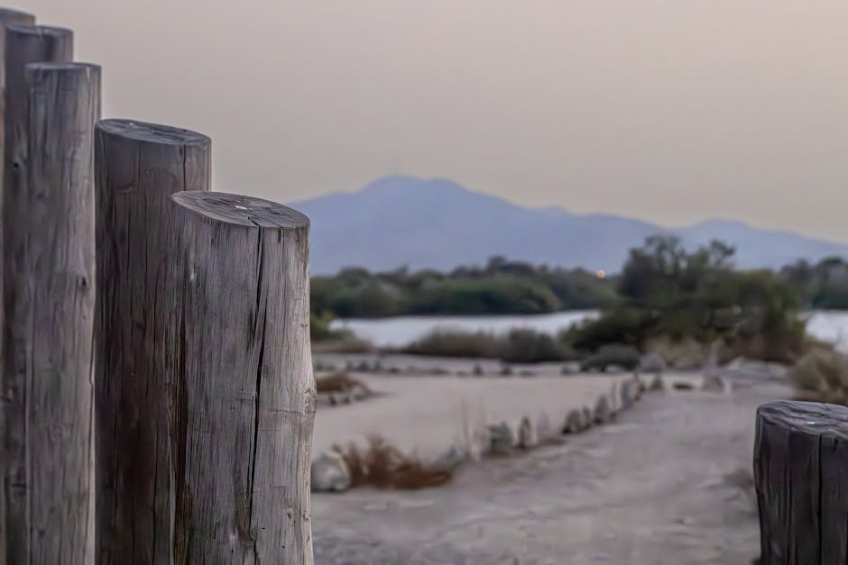 Photo of Kalba, United Arab Emirates