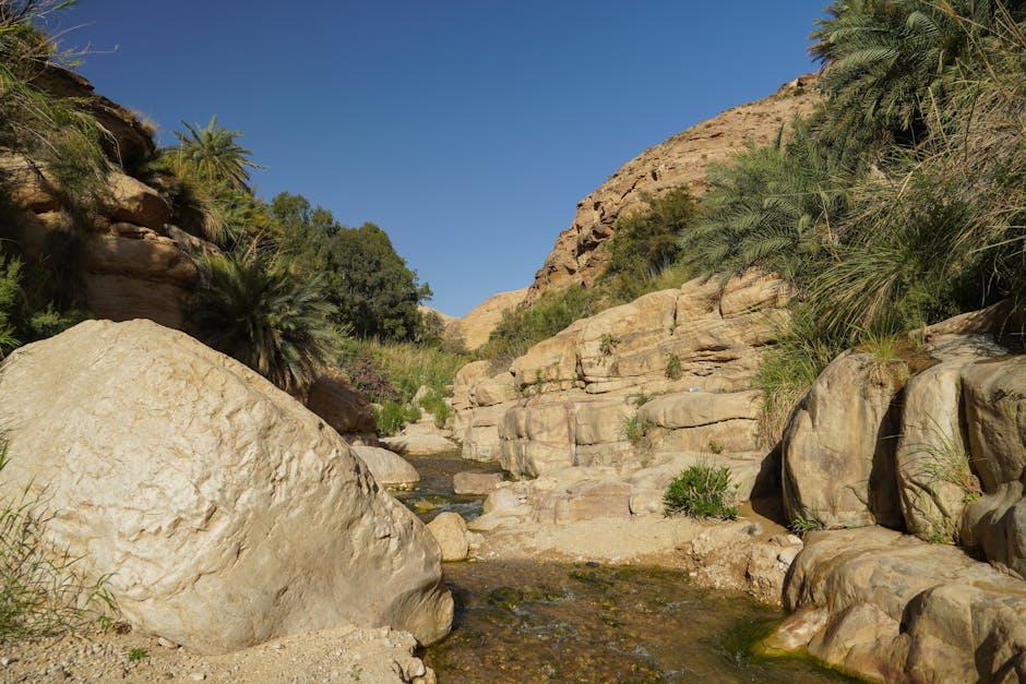 Photo of Karak, Jordan