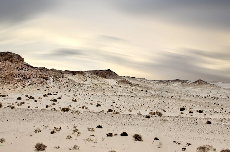 Photo of Laayoune, Western Sahara