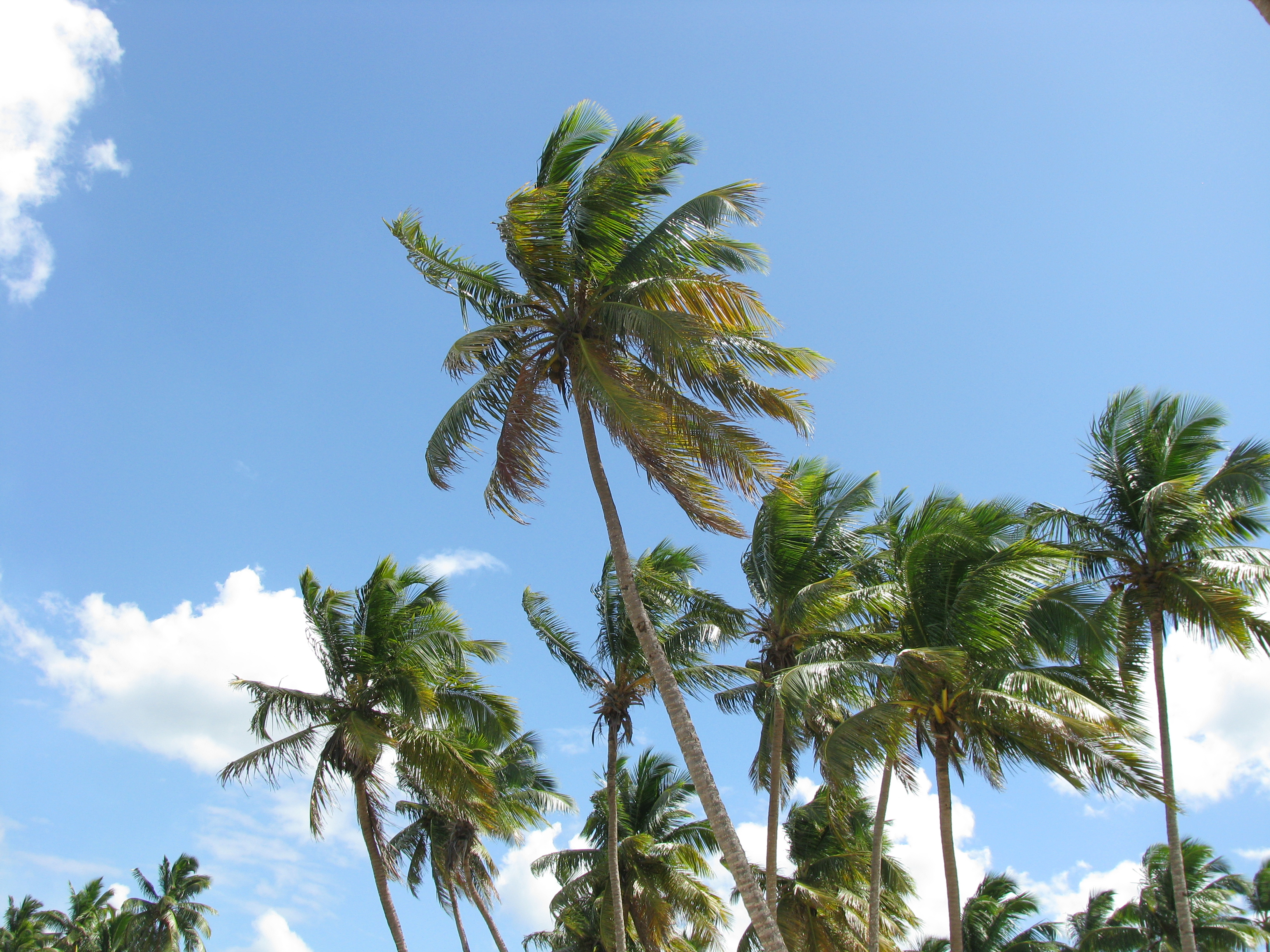 Photo of Las Terrenas, Dominican Republic