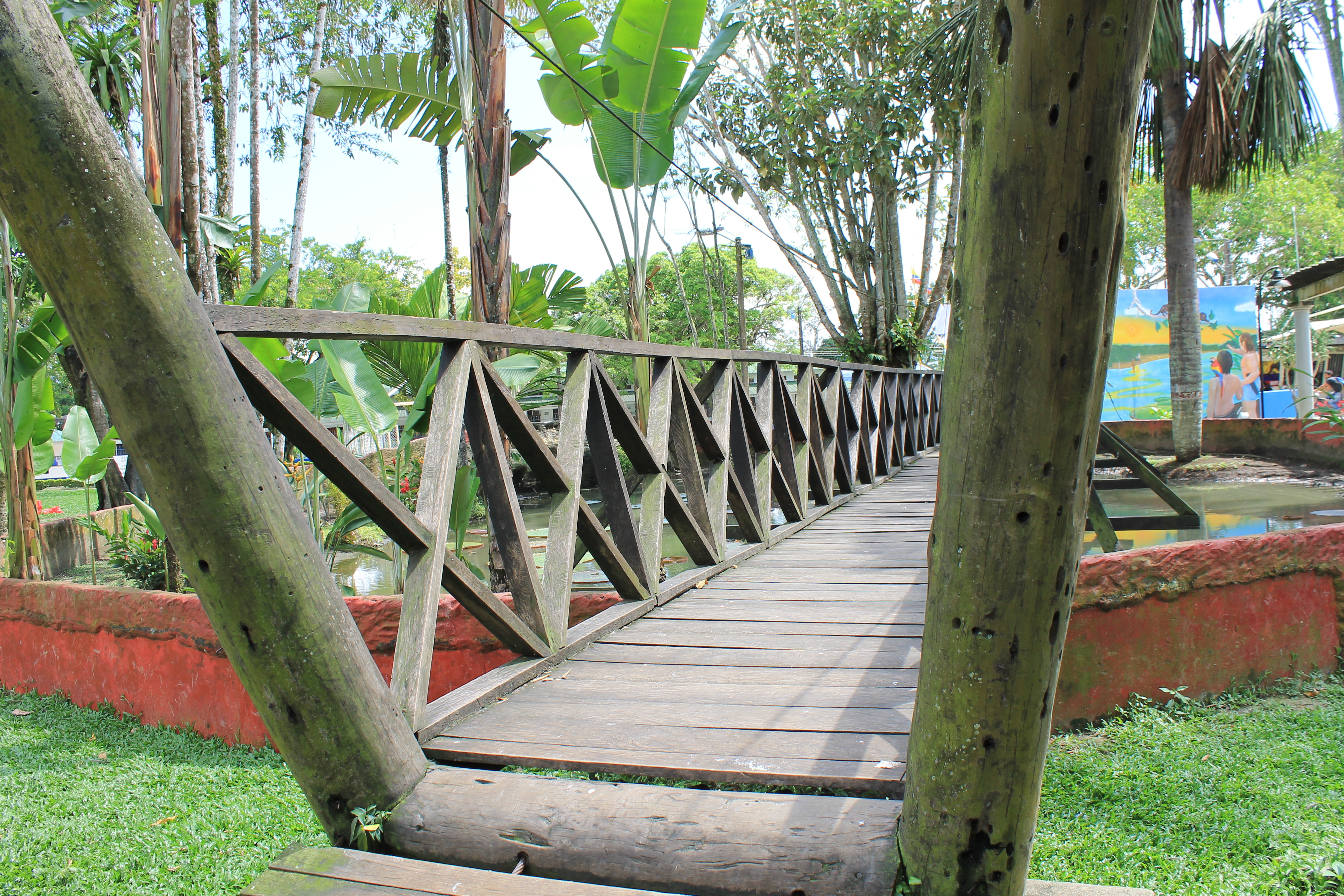Photo of Leticia (amazonas), Colombia