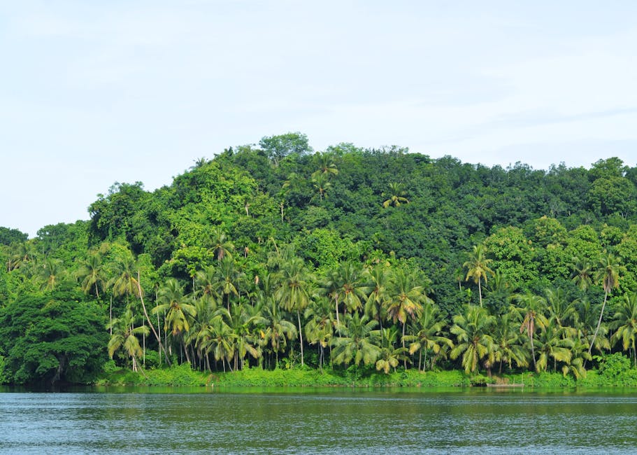 Photo of Linden, Guyana