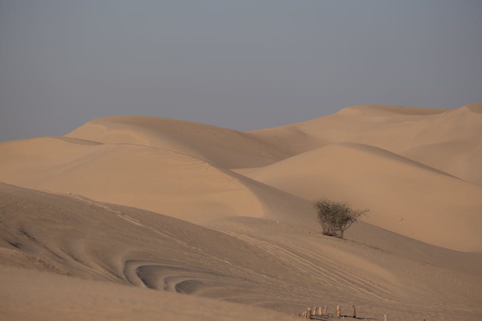 Photo of Mesaieed, Qatar