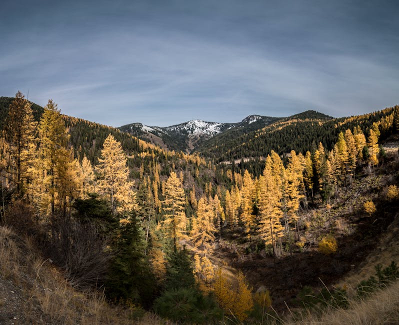 Photo of Missoula, United States