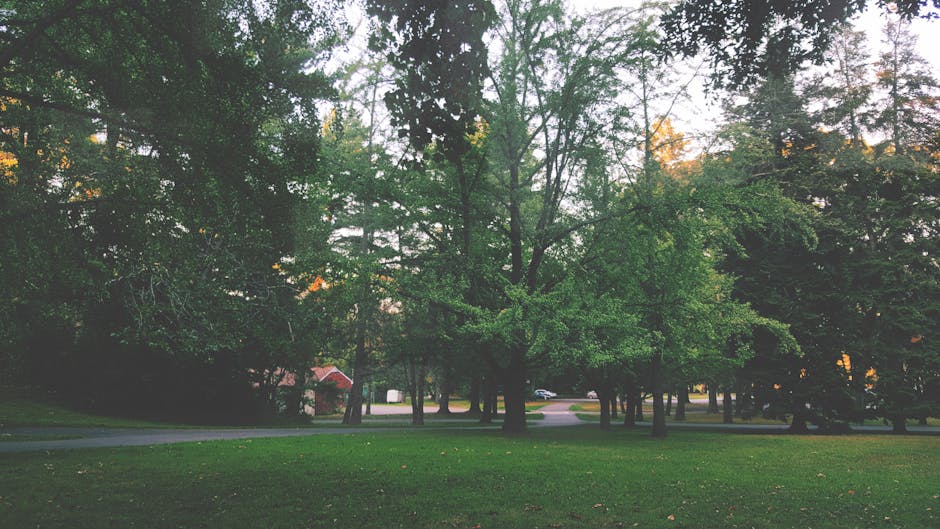 Photo of Montclair (nj), United States