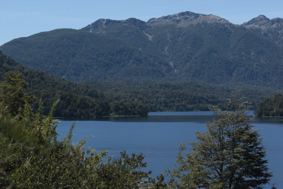 Photo of Neuquén, Argentina