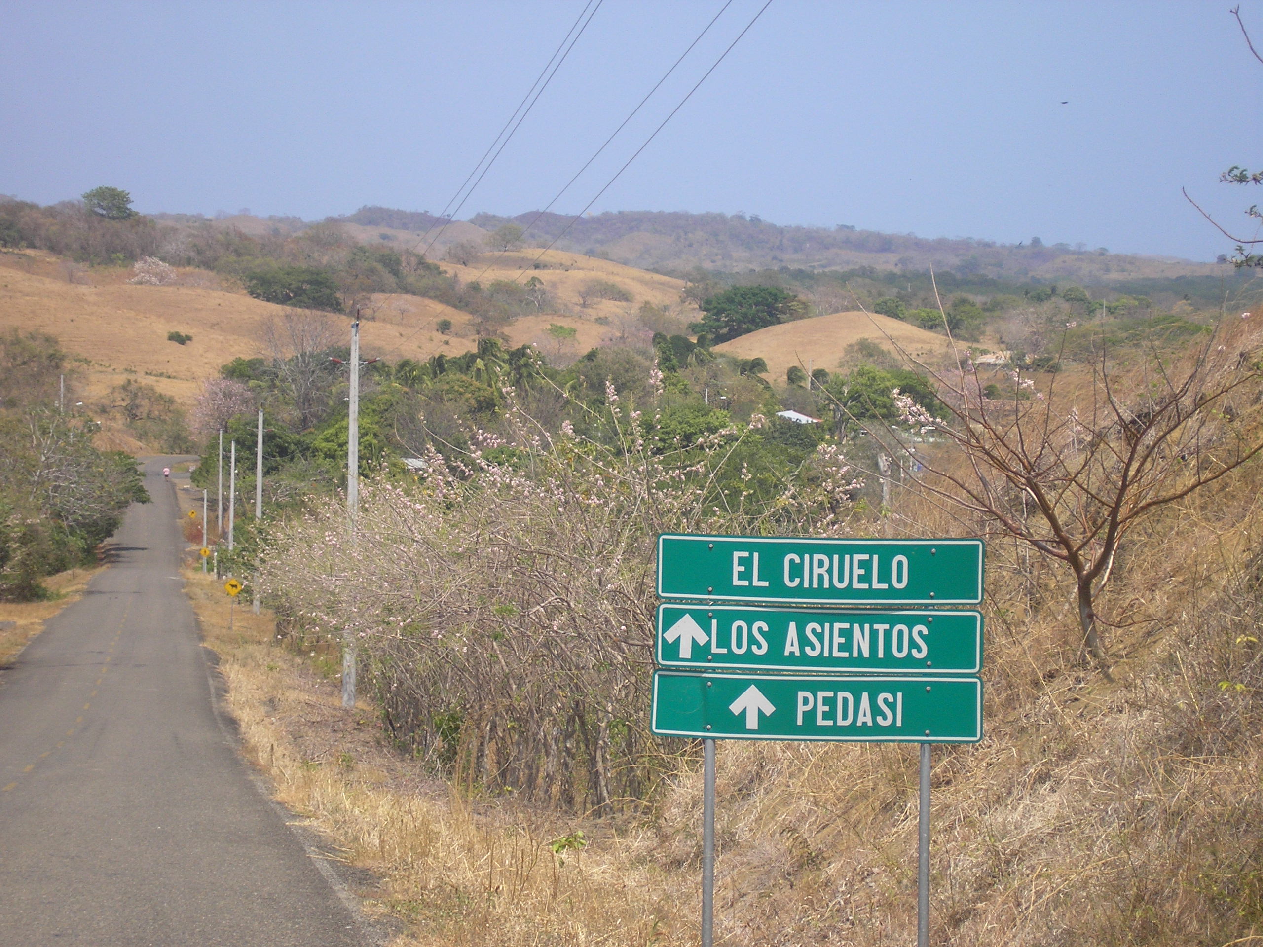 Photo of Pedasí, Panama