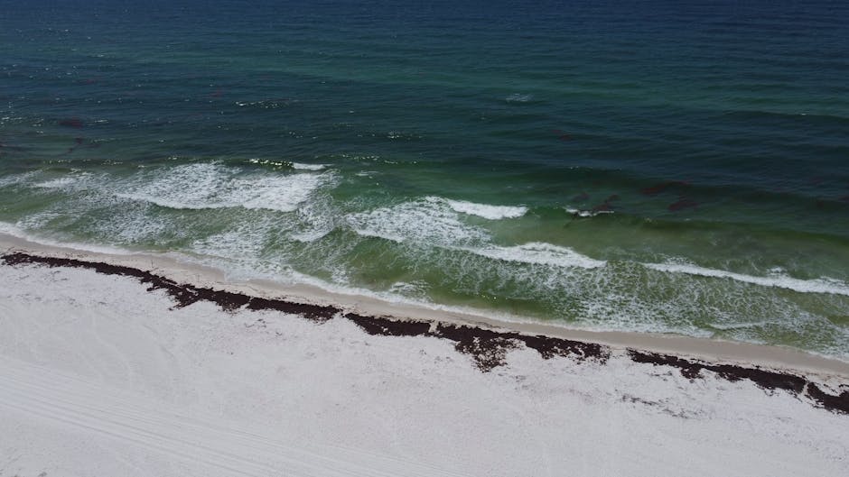 Photo of Pensacola, United States