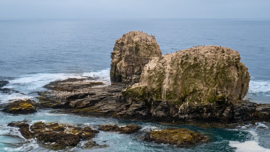 Photo of Pichilemu (punta De Lobos), Chile