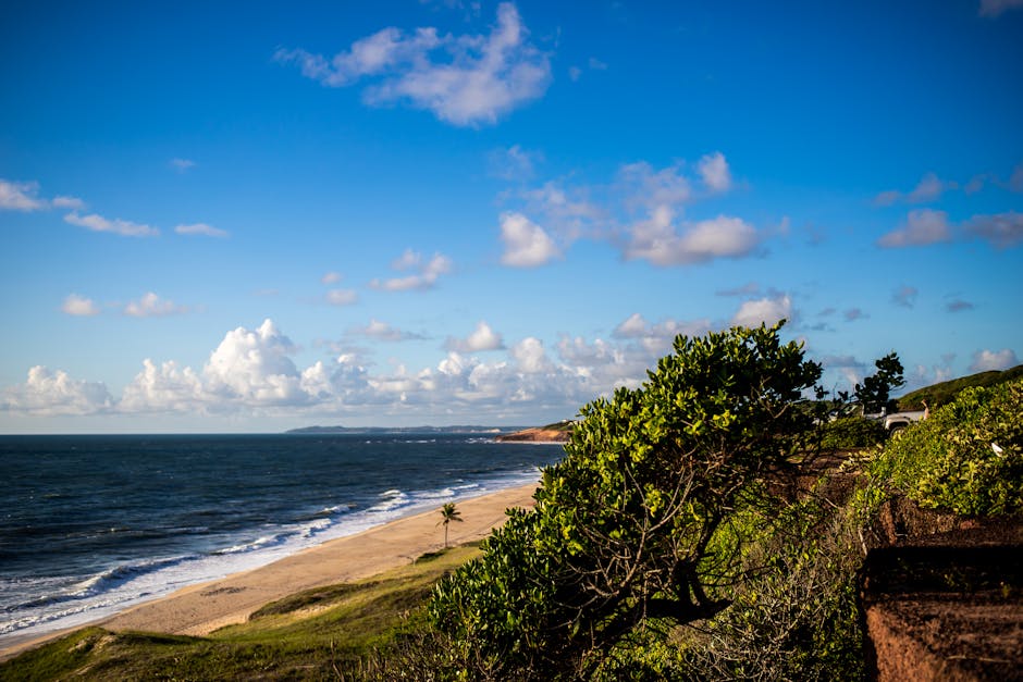 Photo of Pipa, Brazil