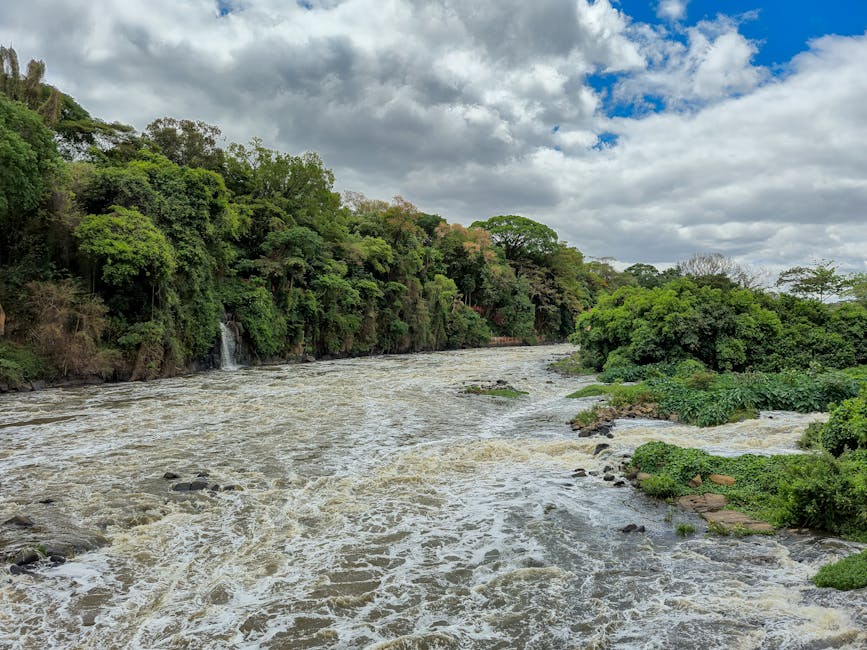 Photo of Piracicaba, Brazil