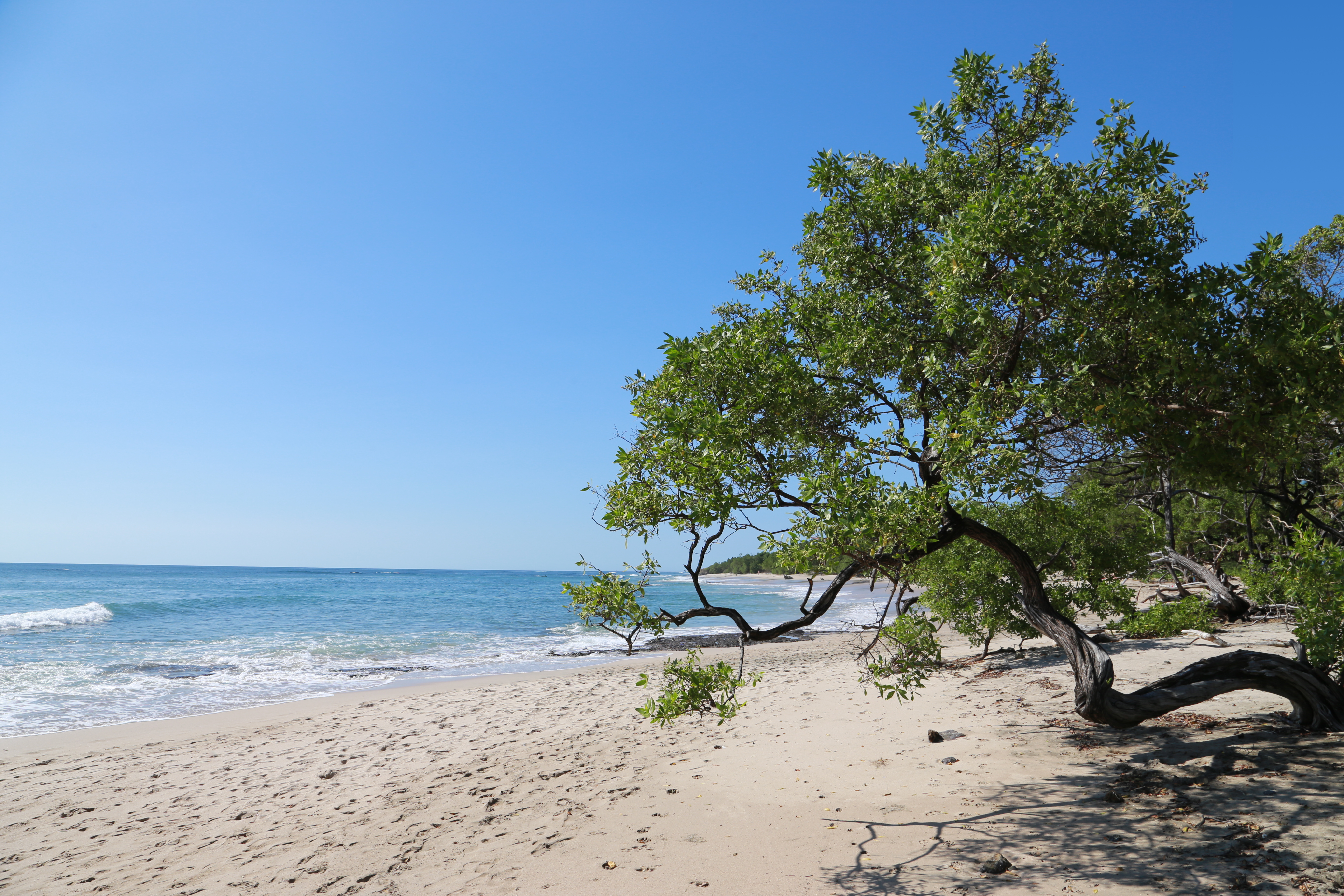 Photo of Playa Negra, Guanacaste, Costa Rica
