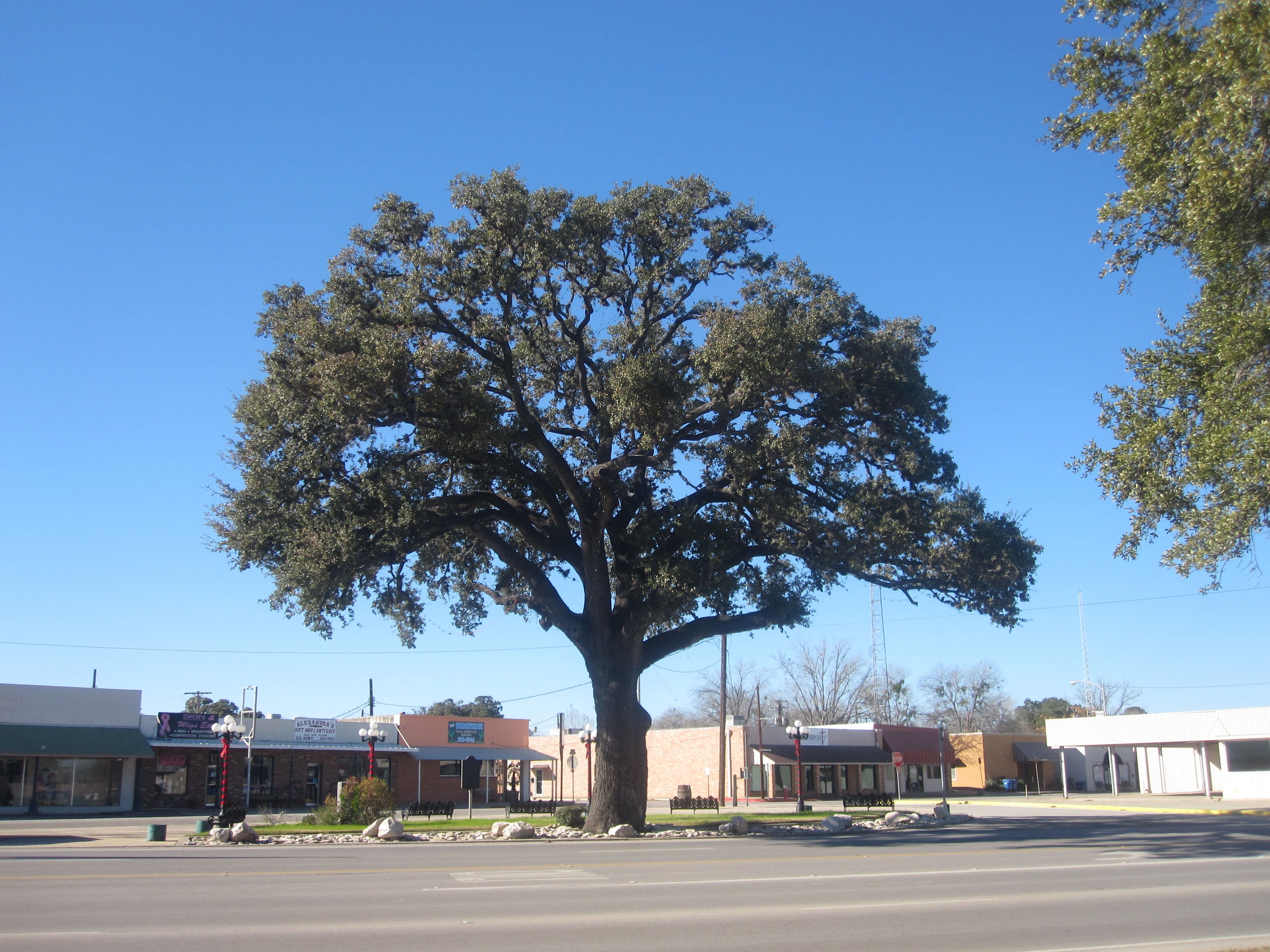 Photo of Pleasanton, United States