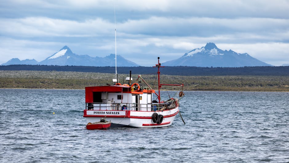 Photo of Puerto Natales, Chile