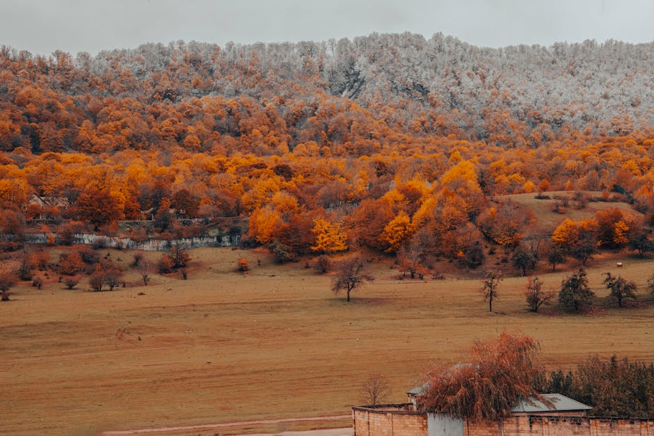 Photo of Quba, Azerbaijan