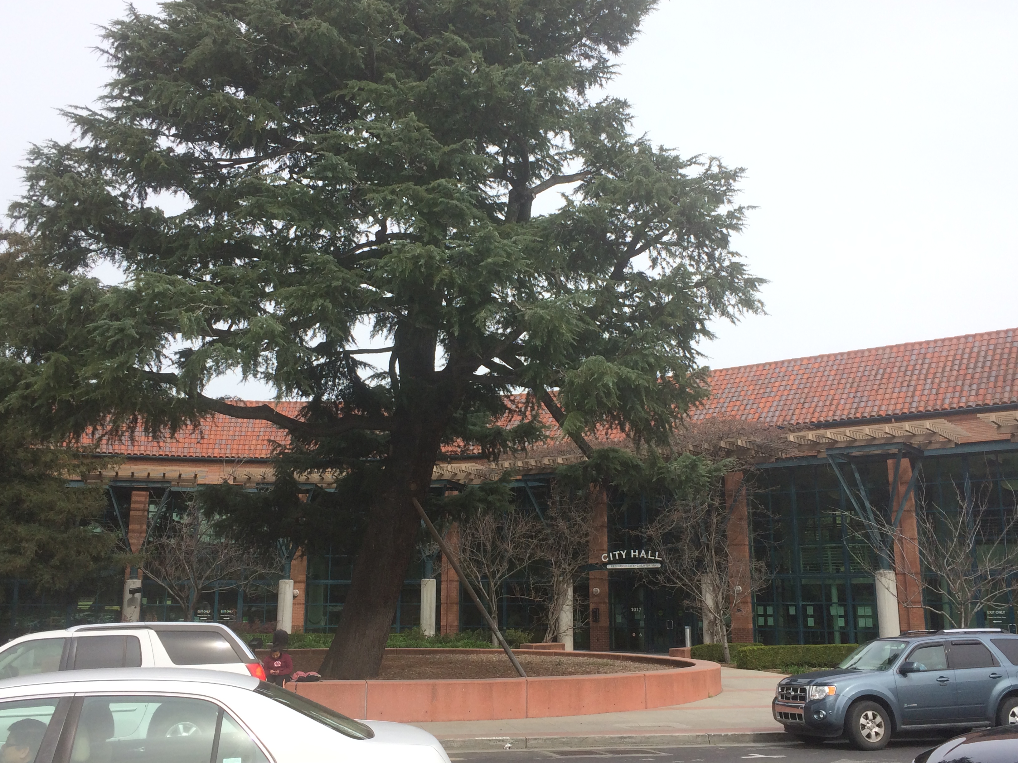 Photo of Redwood City, United States