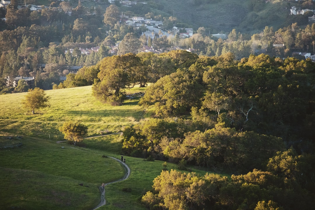 Photo of Redwood City, United States